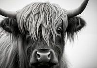Highland (cattle)