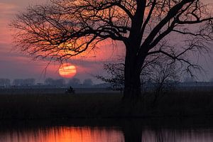 Soleil rouge avec silhouette d'un motocycliste