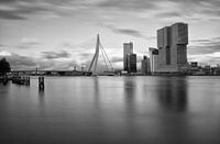 Rotterdam in Schwarz-Weiß