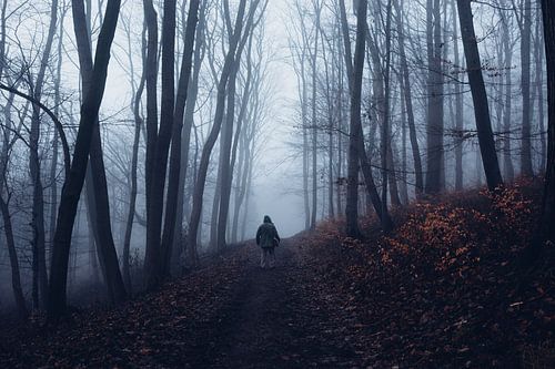 Forêt mystique 014