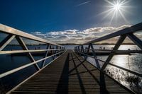 Bridge to a view.