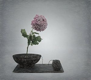 Ausgezeichnetes Zen-Stillleben mit einem Twist. von Saskia Dingemans Awarded Photographer