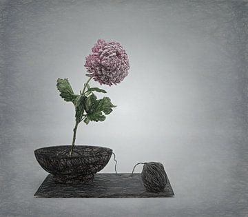 Awarded Zen still-life with a twist. Award winning picture.20procent korting.