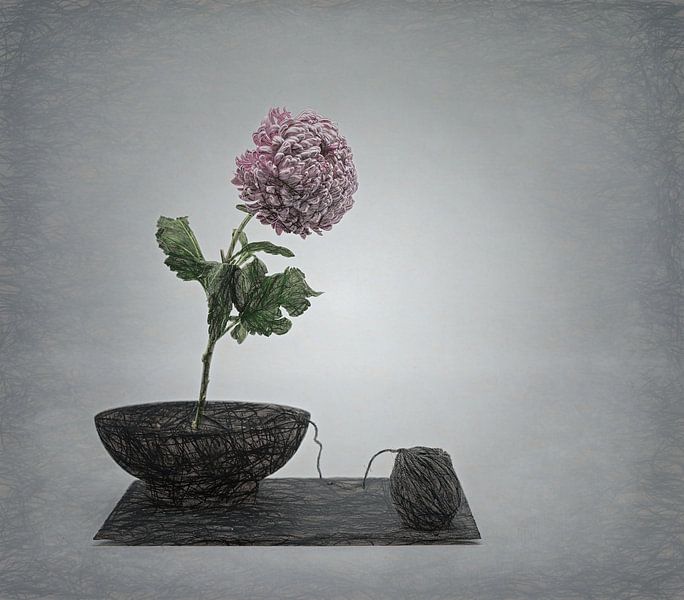 Awarded Zen still-life with a twist. by Saskia Dingemans Awarded Photographer