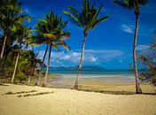 Verlaten strand op Long island, Queensland, Australie van Rietje Bulthuis thumbnail