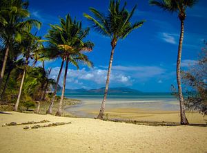 Plage déserte sur Long Island, Queensland, Australie