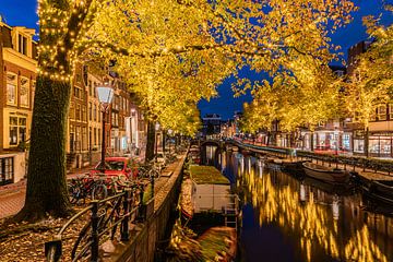 Gouden bomen langs de Amsterdamse Spiegelgracht