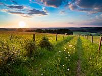 Dromerige zonsondergang in de eifel