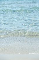The Ocean 