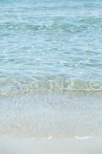 The Ocean 