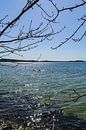 Am Ufer in der Goor, Insel Vilm, Lauterbach auf Rügen von GH Foto & Artdesign Miniaturansicht