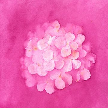 Pinkfarbener Hortensientraum Aquarellgemälde von Karen Kaspar