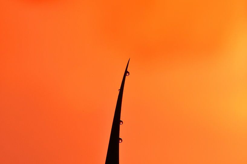 Achterhoekse zonsondergang bij de Oude IJssel van Arno Wolsink