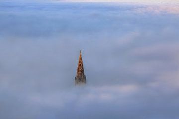 Mist boven Freiburg van Patrick Lohmüller