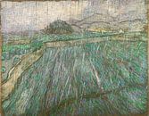 Weizenfeld im Regen, Vincent van Gogh von 1000 Schilderijen Miniaturansicht