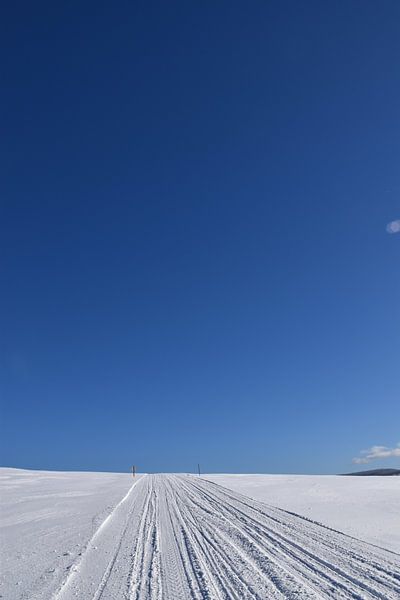 A snowmobile trail in a field by Claude Laprise