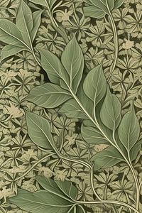 Botanisches Bild einer Pflanze mit Blättern von Lily van Riemsdijk - Art Prints with Color