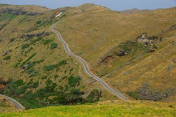 Bergweg in Madeira by Michel van Kooten