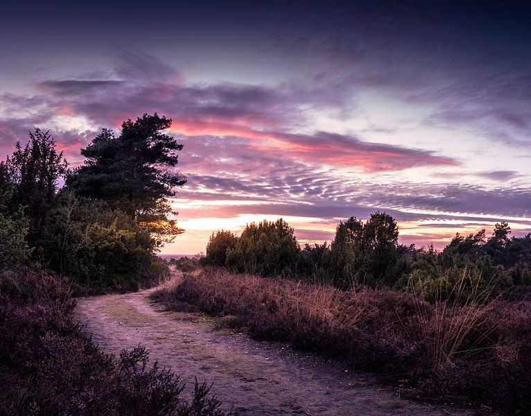 Zonsondergang Lemelerberg van Martijn van Steenbergen