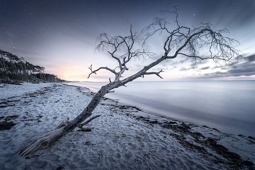 Nuit à la plage ouest