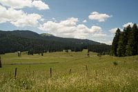 Zwitserland