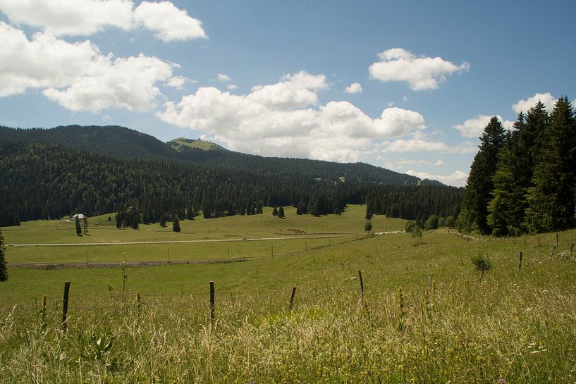 Zwitserland by Diana Edwards