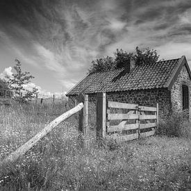 Landschaft Süd-Limburg von Rene van de Esschert