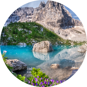 Bergbloemen bij het meer van Sorapis in de Dolomieten van Voss Fine Art Fotografie