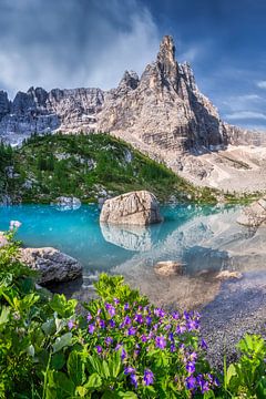 Mountain flowers at Lake Sorapis in the Dolomites by Voss Fine Art Fotografie