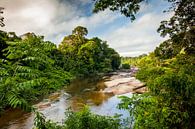 Uitzicht op de Suriname rivier bij het Awarradam jungle camp, Suriname van Marcel Bakker thumbnail
