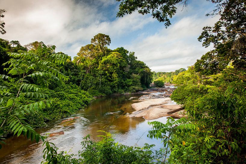 Uitzicht op de Suriname rivier bij het Awarradam jungle camp, Suriname van Marcel Bakker