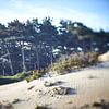 Nederlandse Duinen in ochtendlicht van Karel Ham