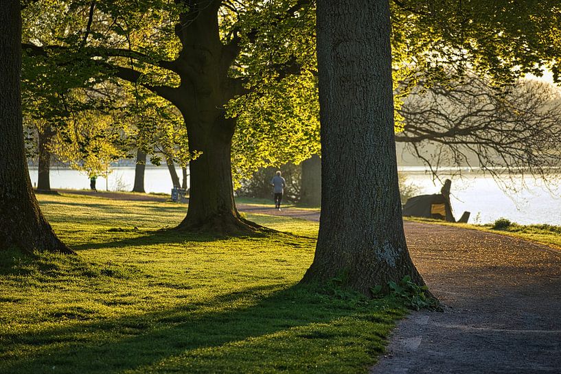 Morning at the Aasee by Thorsten Wind