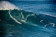 Surfen in Nazaré - Portugal von Marieke van der Hoek-Vijfvinkel Miniaturansicht