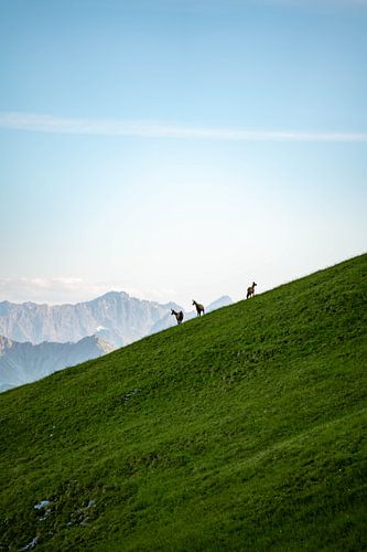 Bergsilhouet met zeem in Tirol