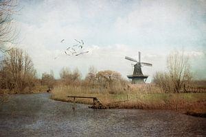 L'équilibre néerlandais