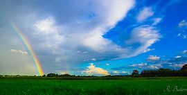 Colourfull Sight von Robin Bulters