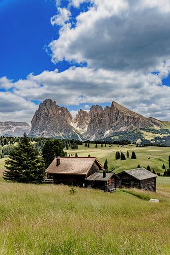 Seiser Alm, Dolomiten