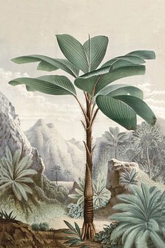 Tropisch landschap met palmboom van Andrea Haase