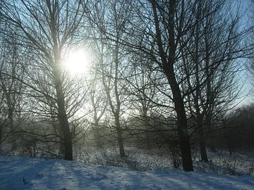 Winterlandschap in mooi zonlicht van Nicky`s Prints