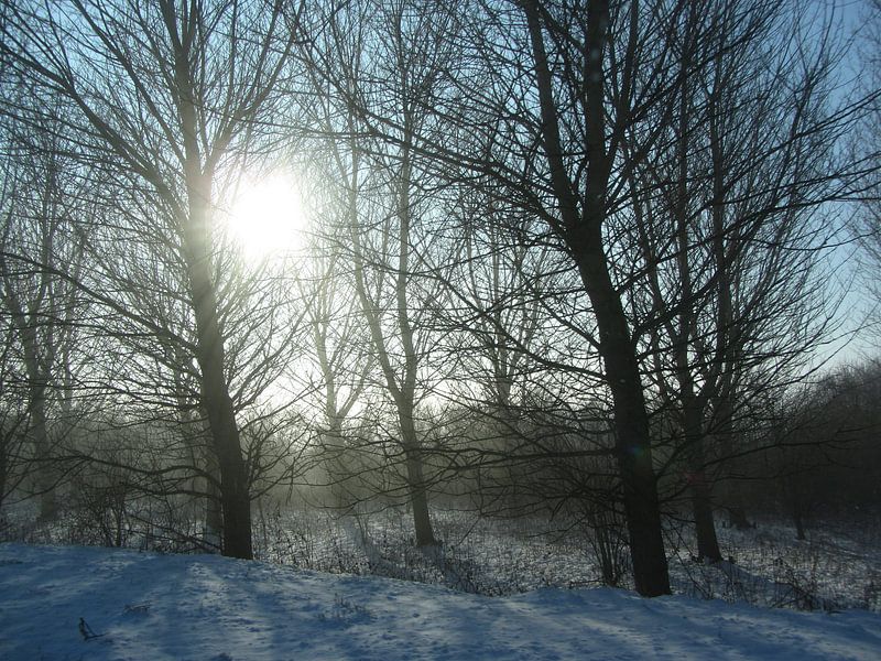 Winterlandschap in mooi zonlicht par Nicky`s Prints