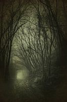 Spookbossen