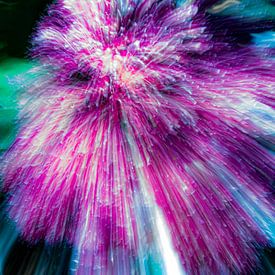 paars bloem van Jan Peter Jansen