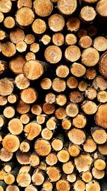 Gestapelte Baumstämme von Koen Leerink