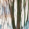 Bomen kunst met icm fotografie van Jolanda de Jong-Jansen