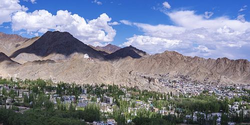 Between barrenness and life by Walter G. Allgöwer