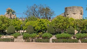 Garten mit antiker Architektur in der Nähe von Alcazar und der Mezdina