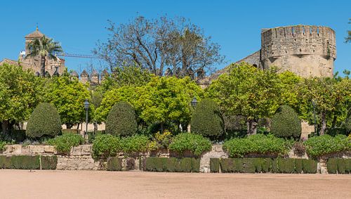 garden and old architecture in cordoba near the alcazar and mezdina