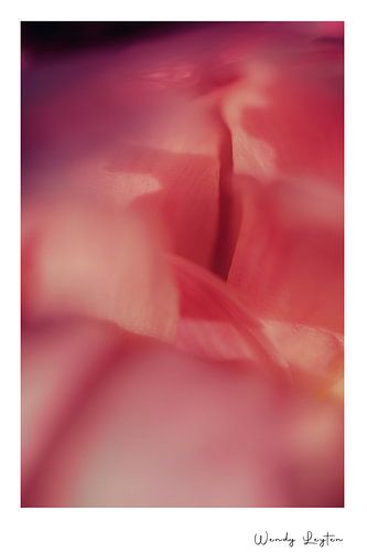 Flower Wisdom