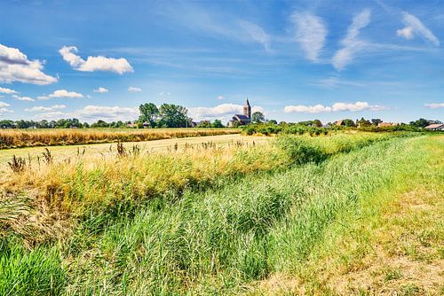 Sommerlandschaft auf Wieringen, Oosterland wieringen